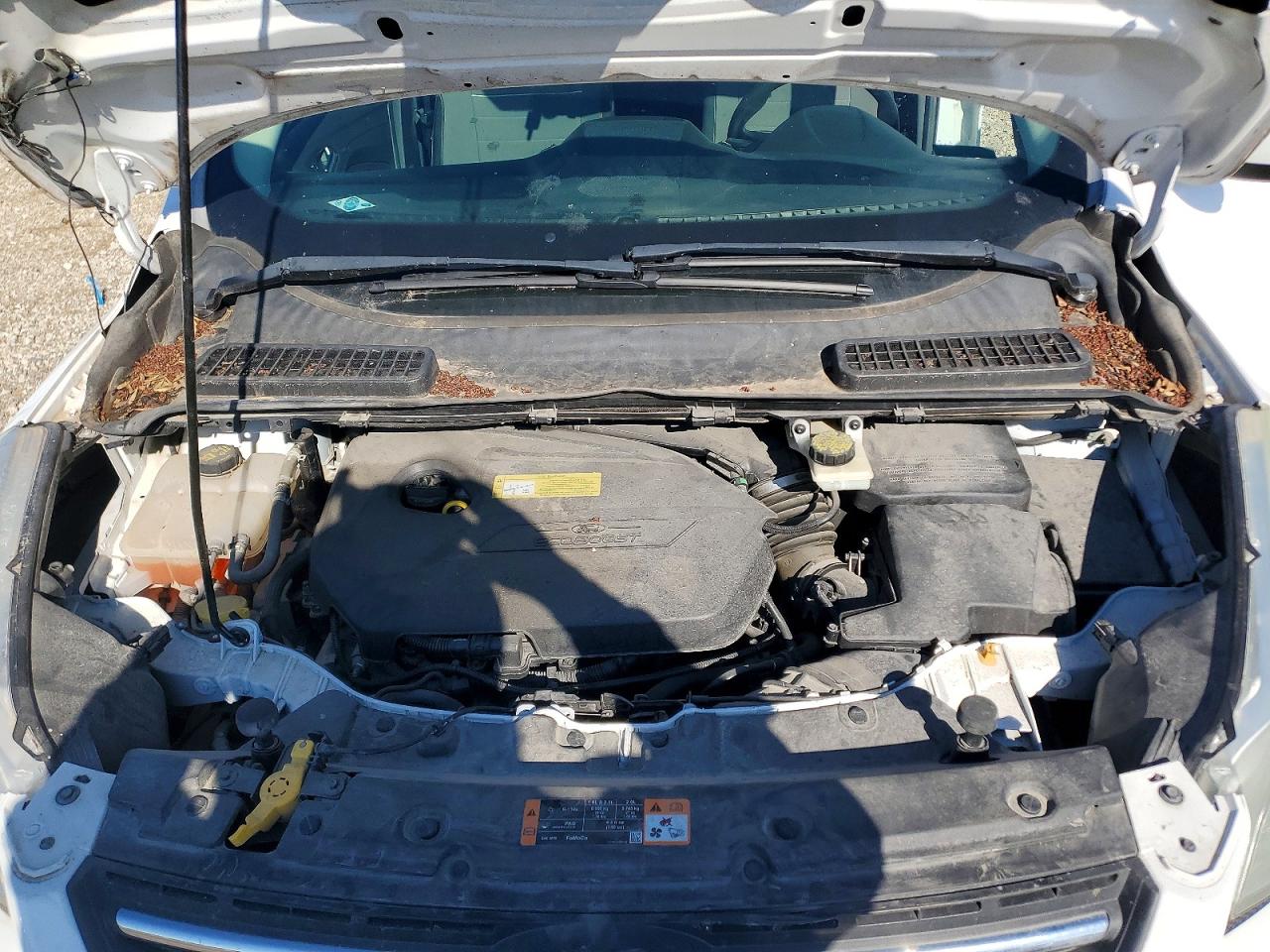2014 FORD ESCAPE SE photo 12