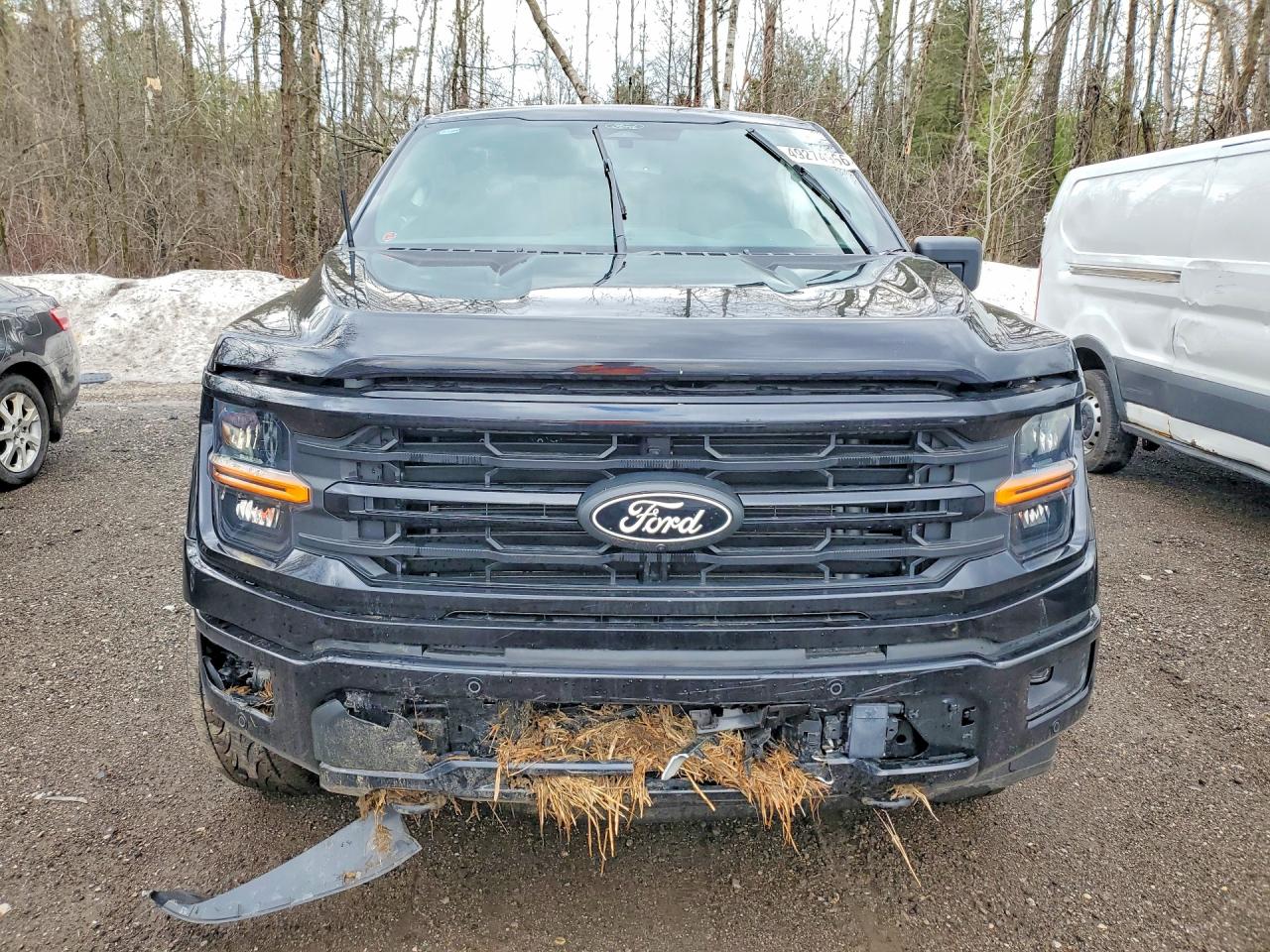 2025 FORD F150 XLT photo 9