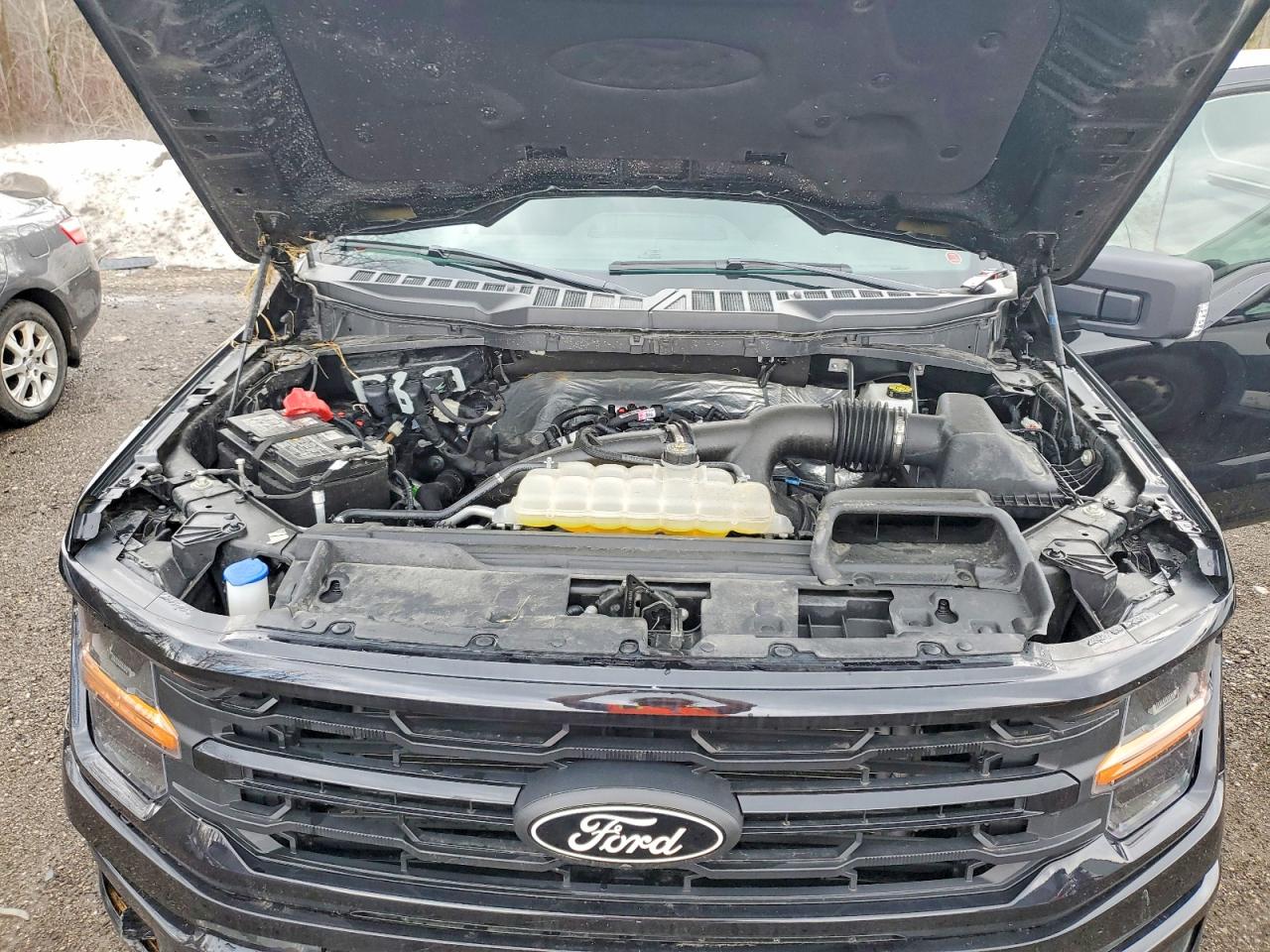 2025 FORD F150 XLT photo 21