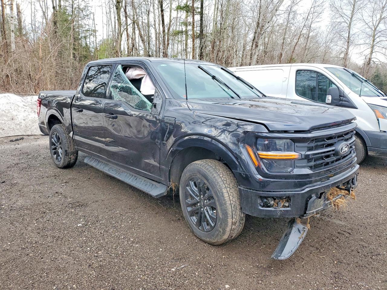 2025 FORD F150 XLT photo 7