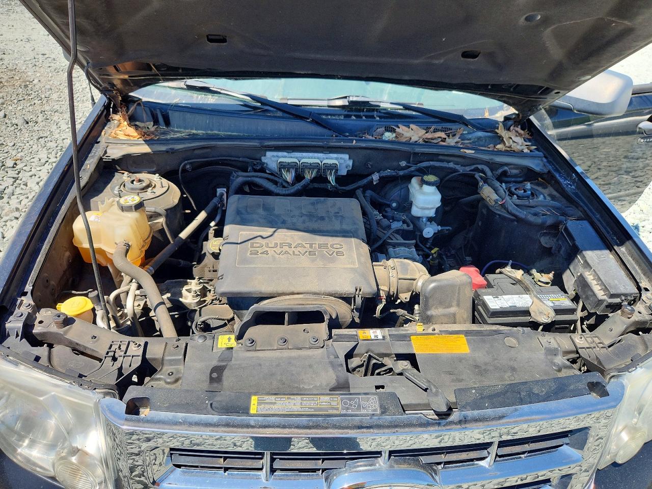 2010 FORD ESCAPE XLT photo 21