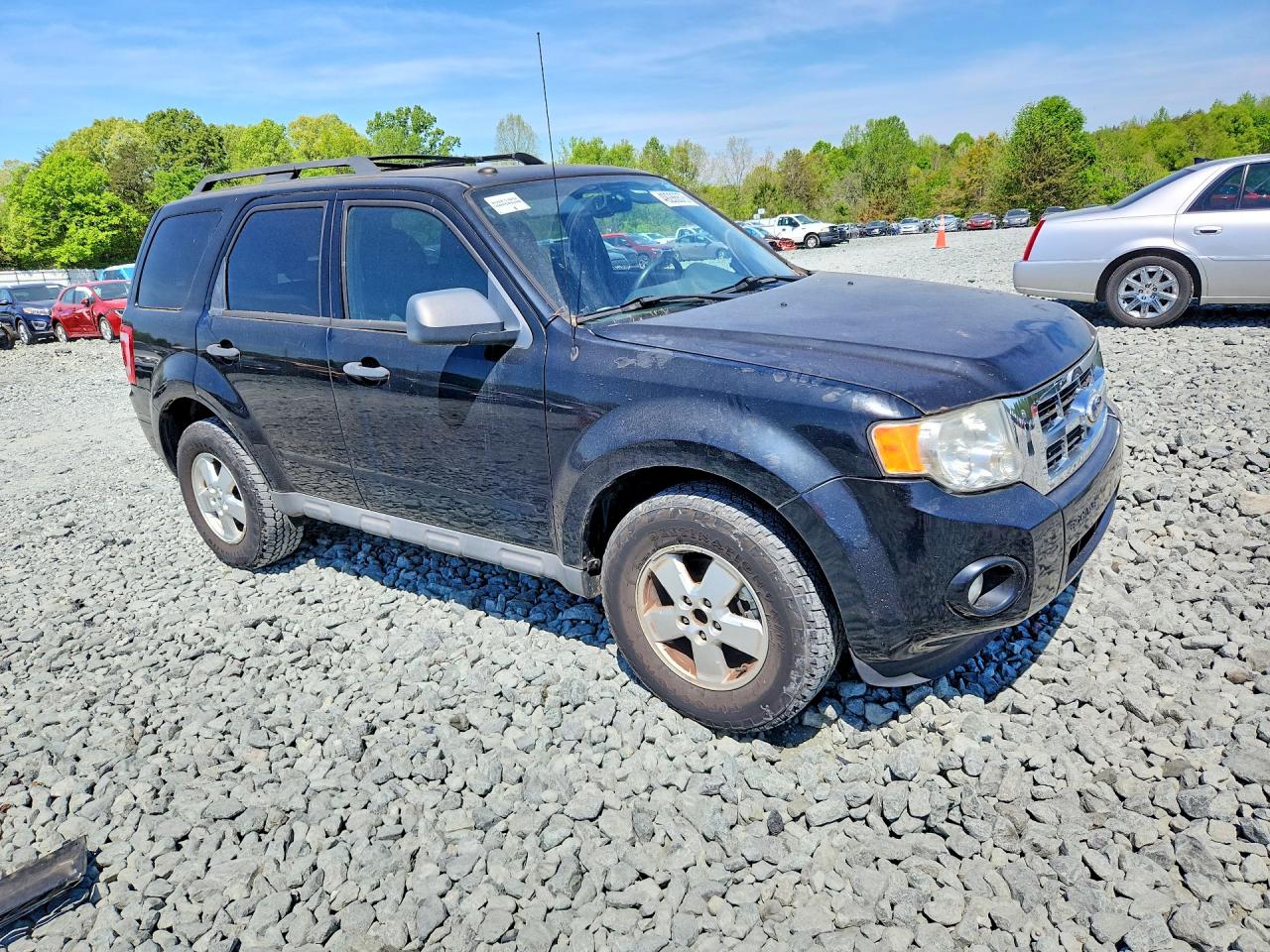 2010 FORD ESCAPE XLT photo 7