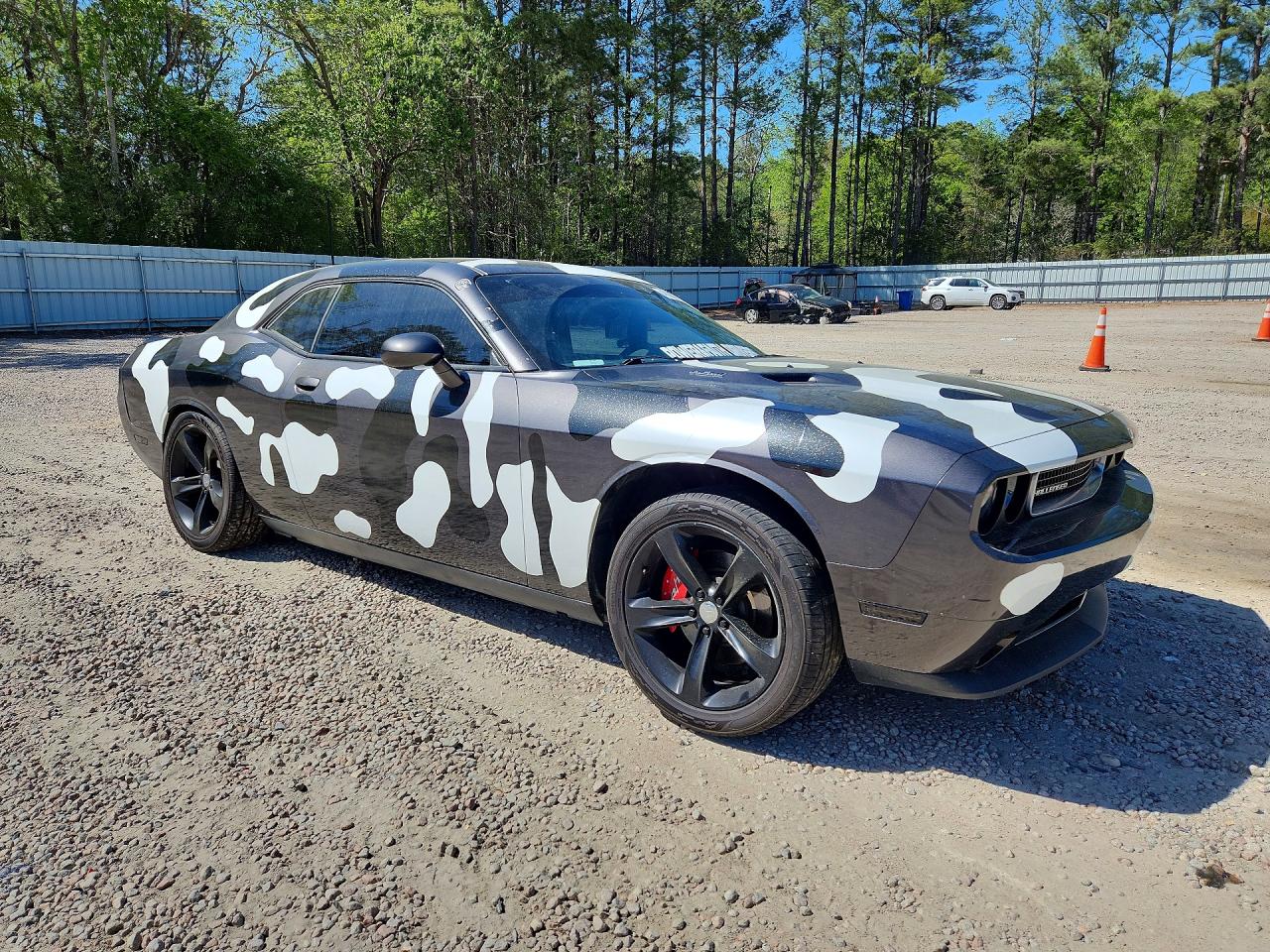 2013 DODGE CHALLENGER R photo 10
