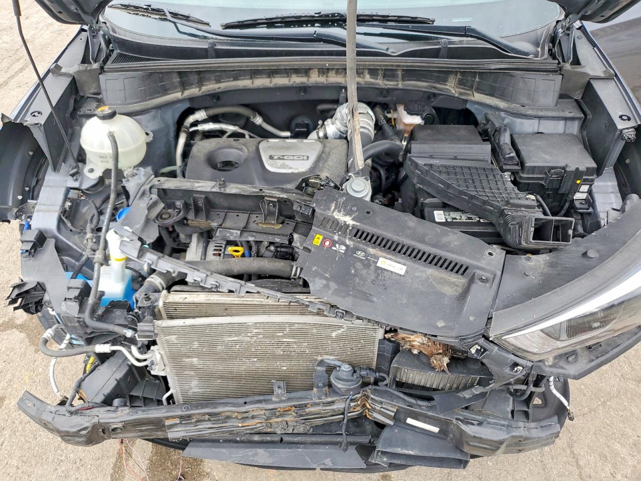 2017 HYUNDAI TUCSON LIMITED photo 12