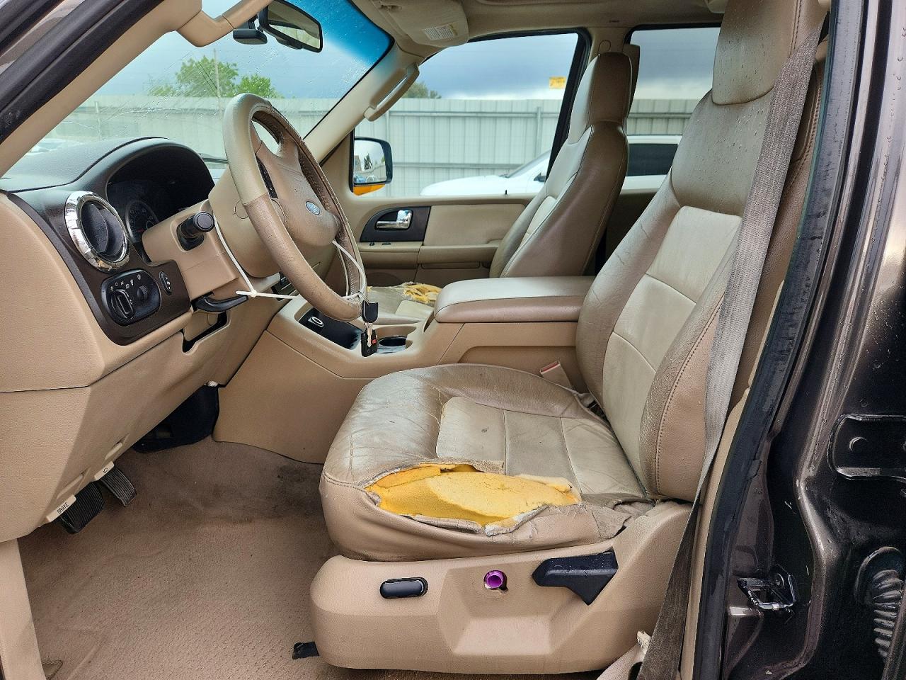 2006 FORD EXPEDITION EDDIE BAUER photo 19