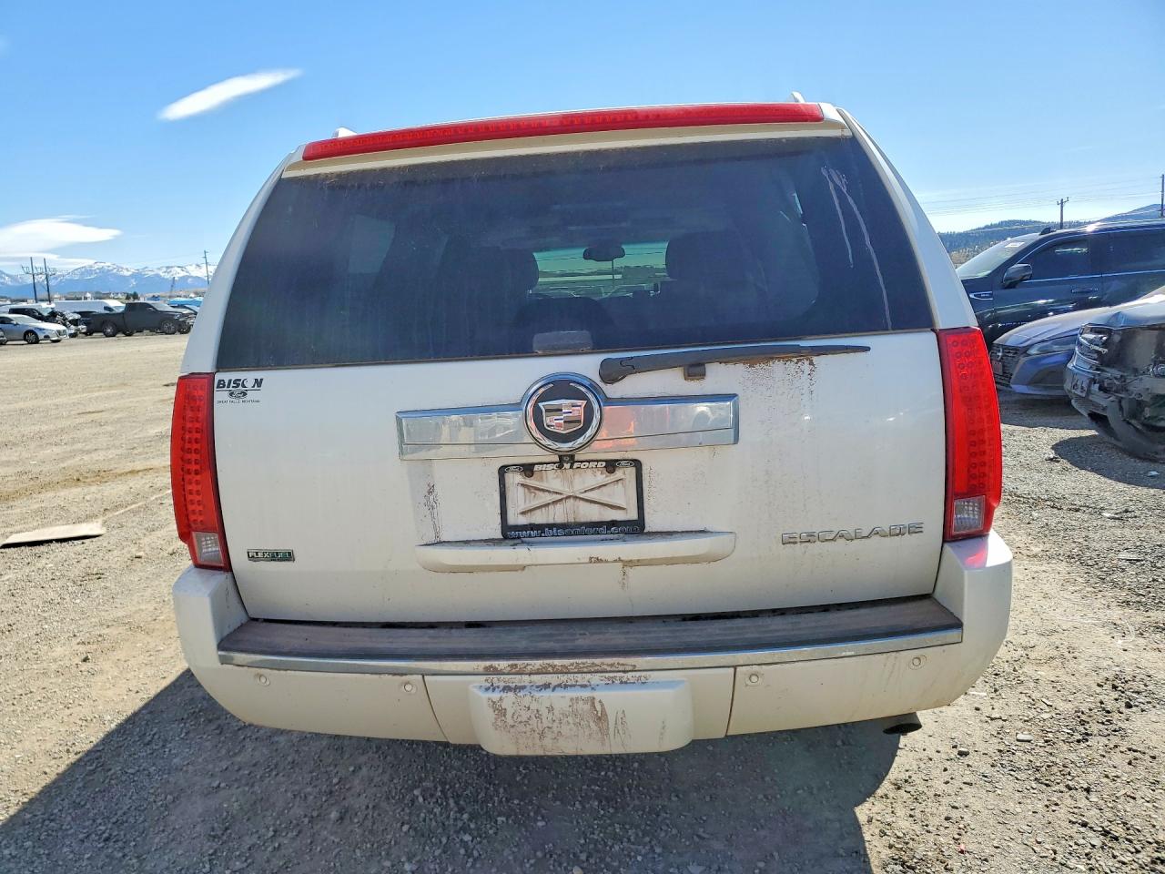 2011 CADILLAC ESCALADE ESV LUXURY photo 6