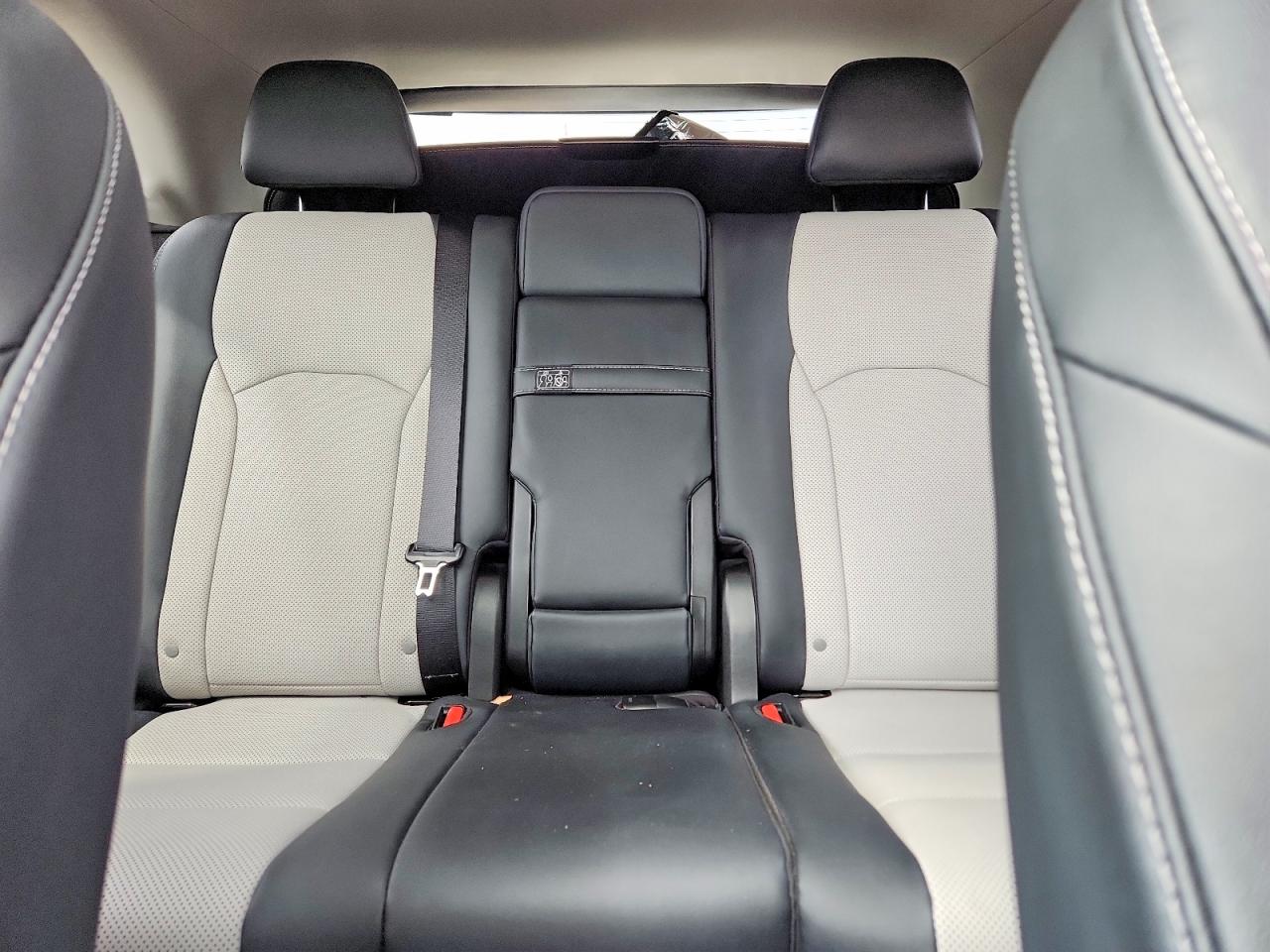 2022 LEXUS RX 350 photo 19