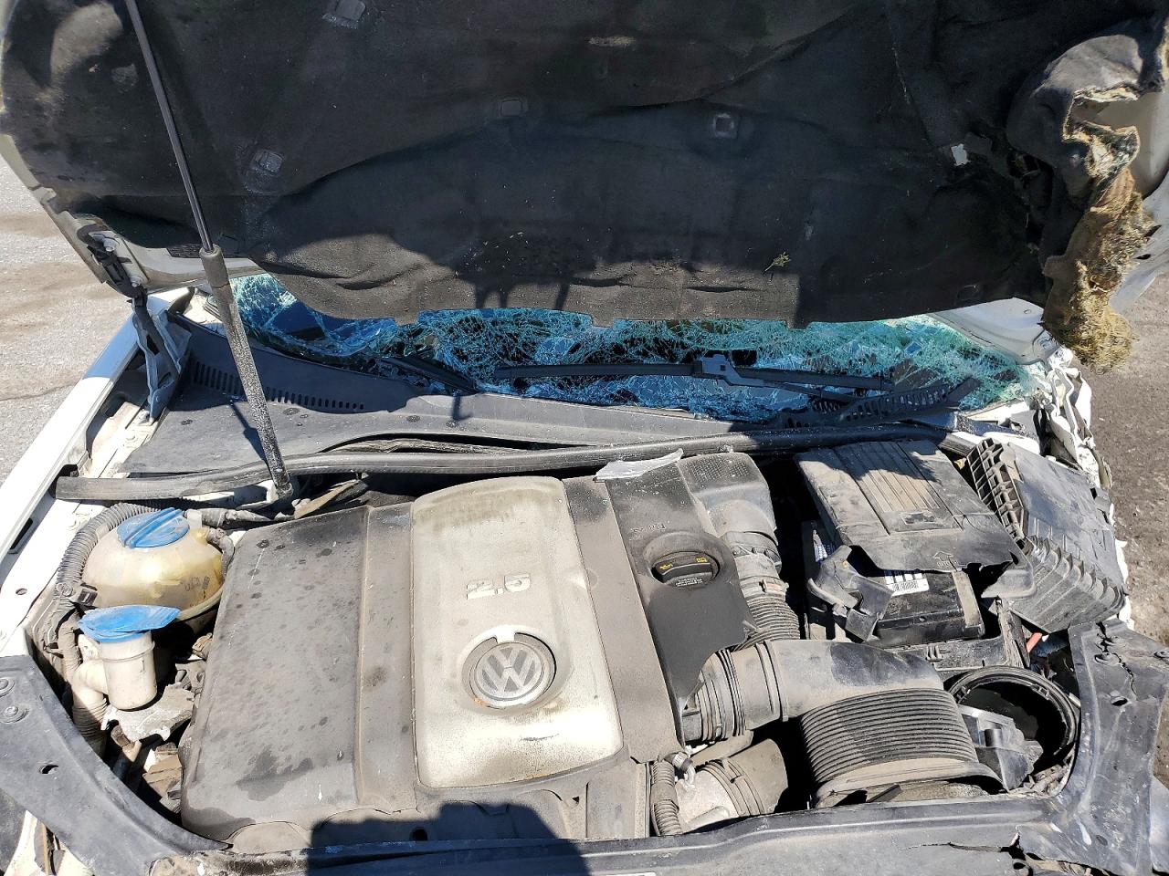 2009 VOLKSWAGEN JETTA SE photo 11