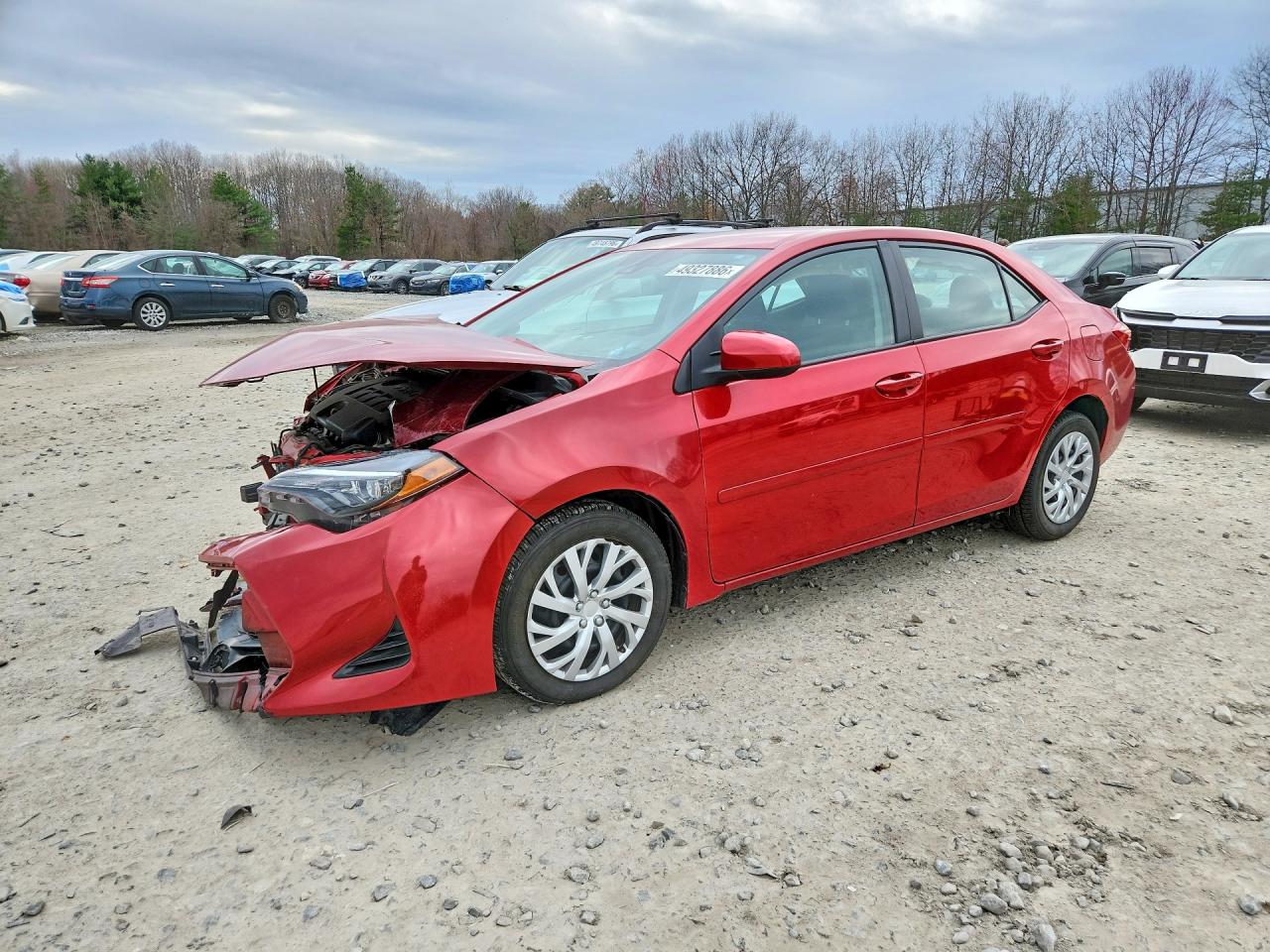 2019 TOYOTA COROLLA