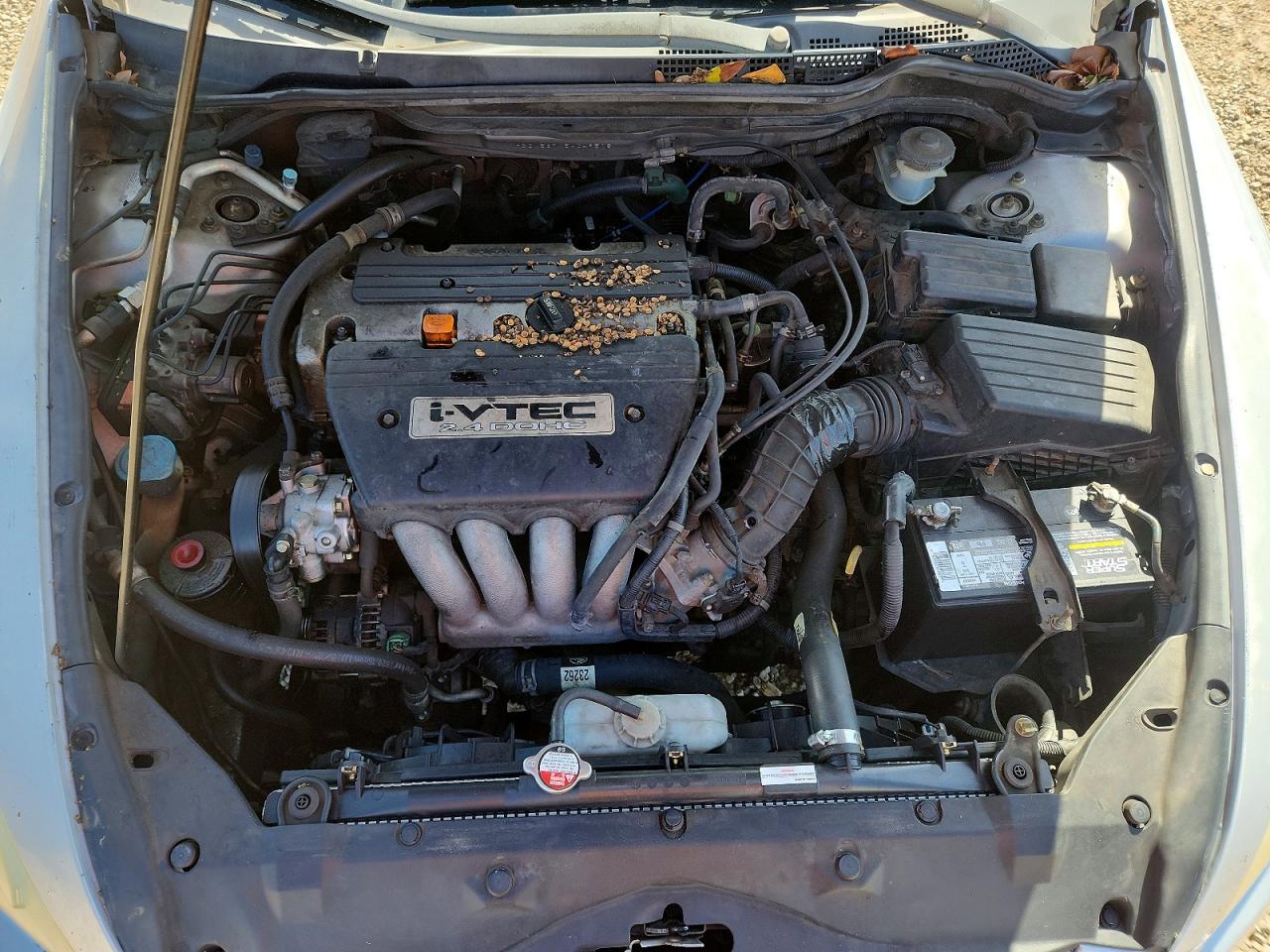 2005 HONDA ACCORD EX photo 11