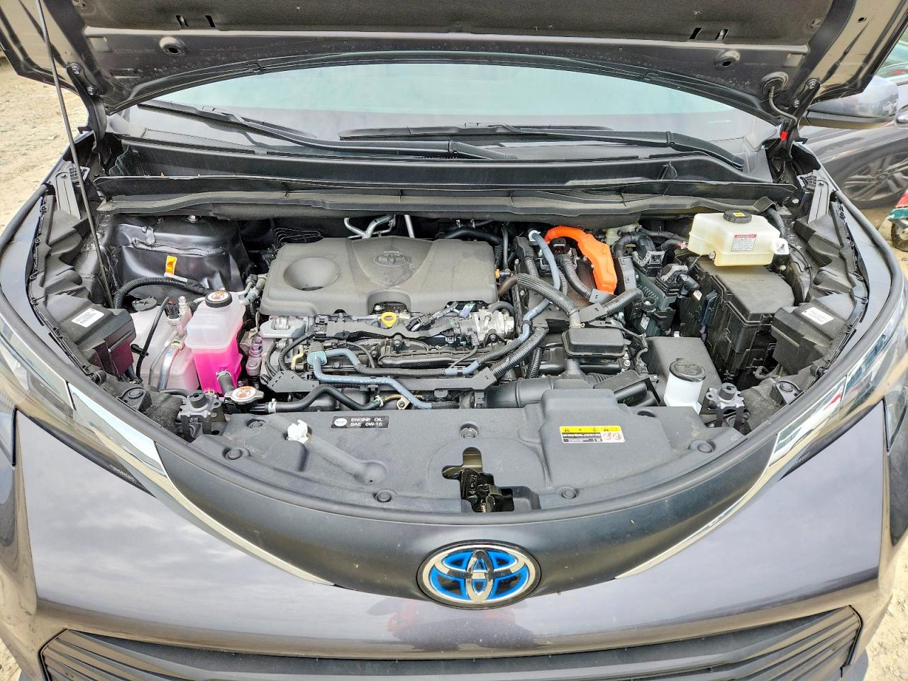 2025 TOYOTA SIENNA XLE 7-PASSENGER photo 23