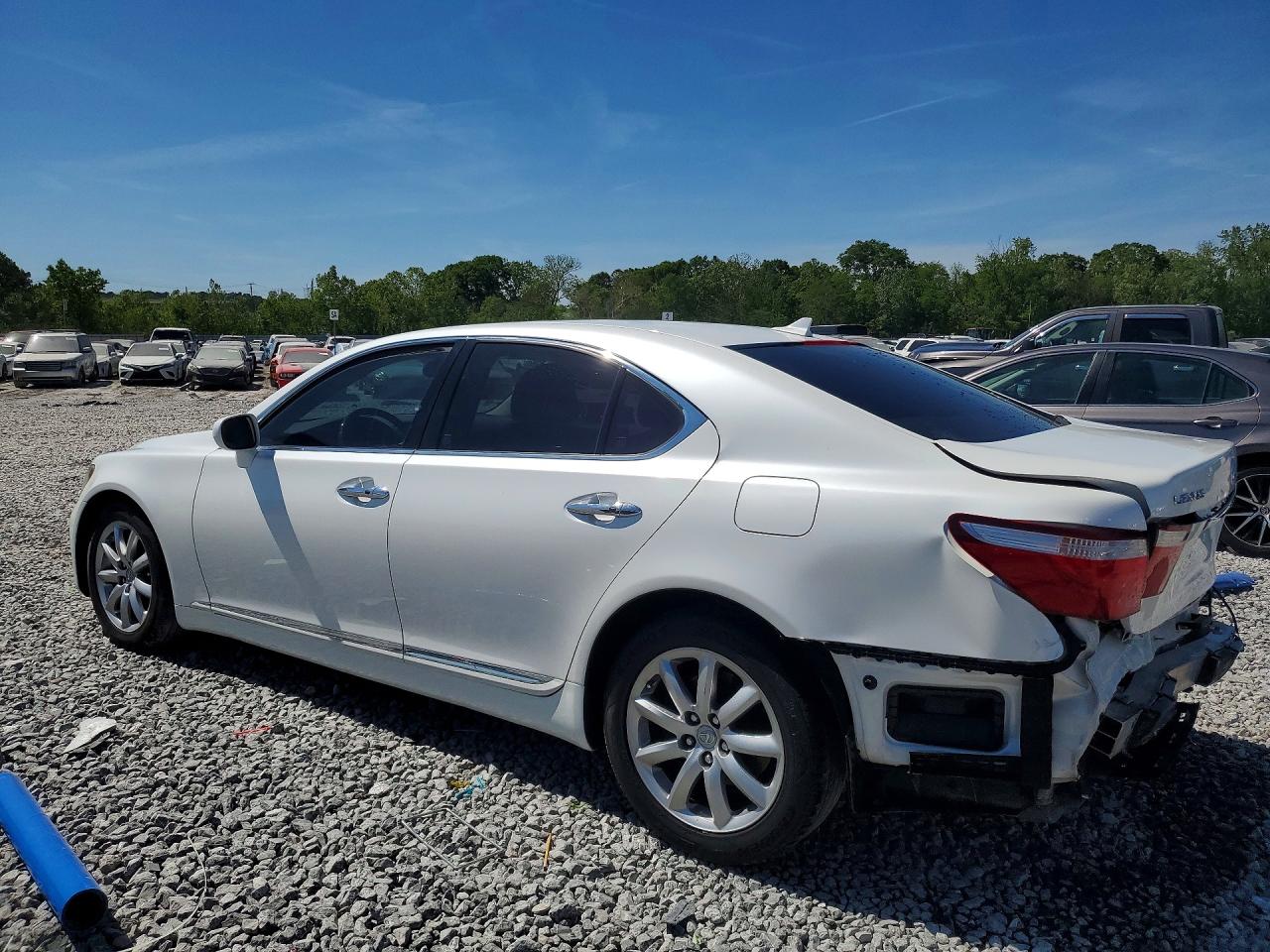 2009 LEXUS LS 460 photo 2