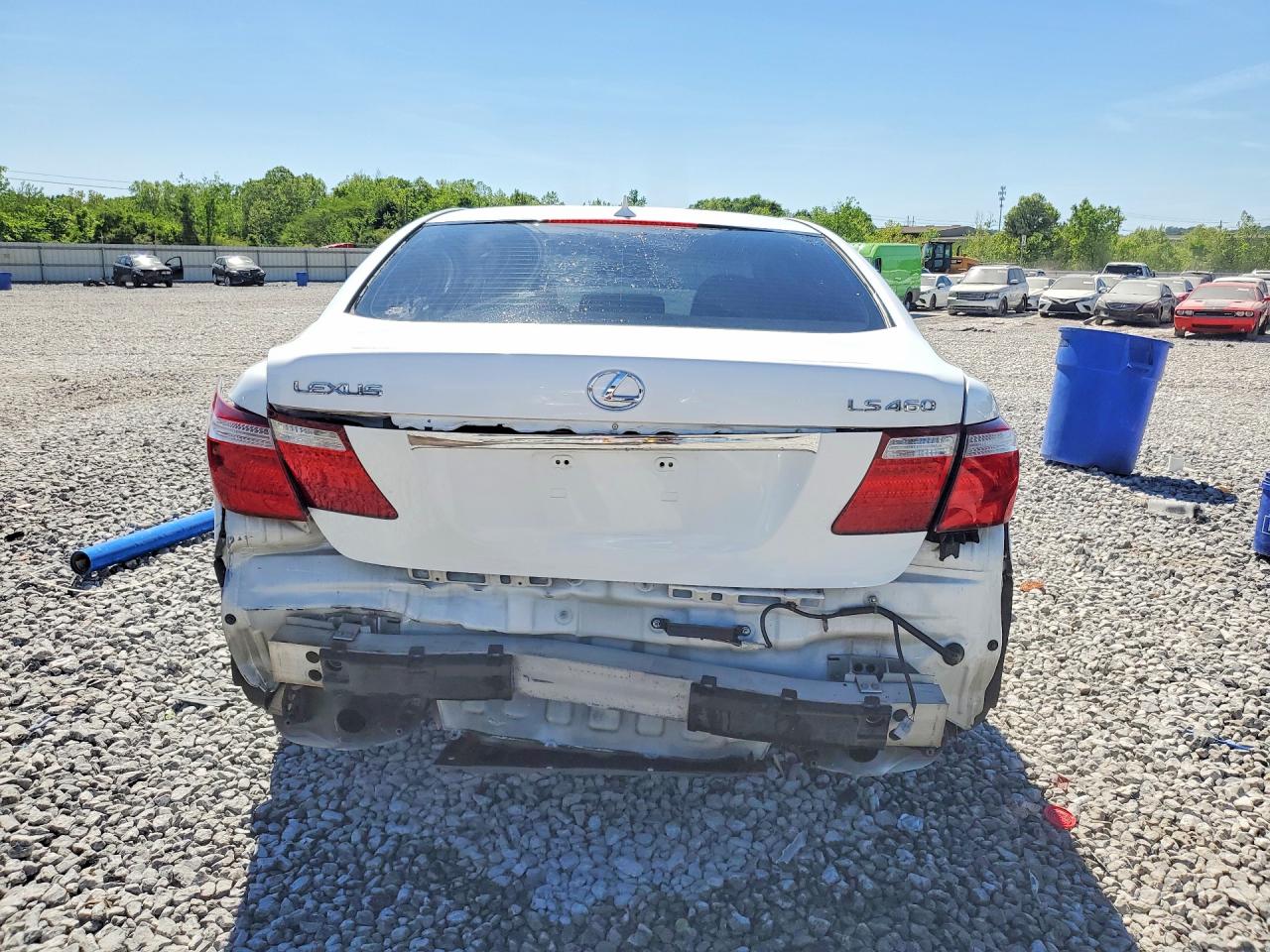 2009 LEXUS LS 460 photo 6