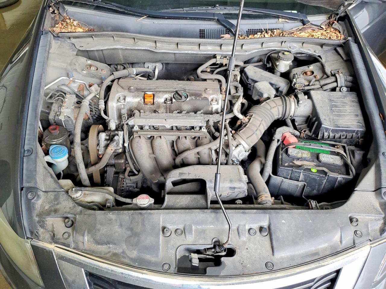 2010 HONDA ACCORD LXP photo 31