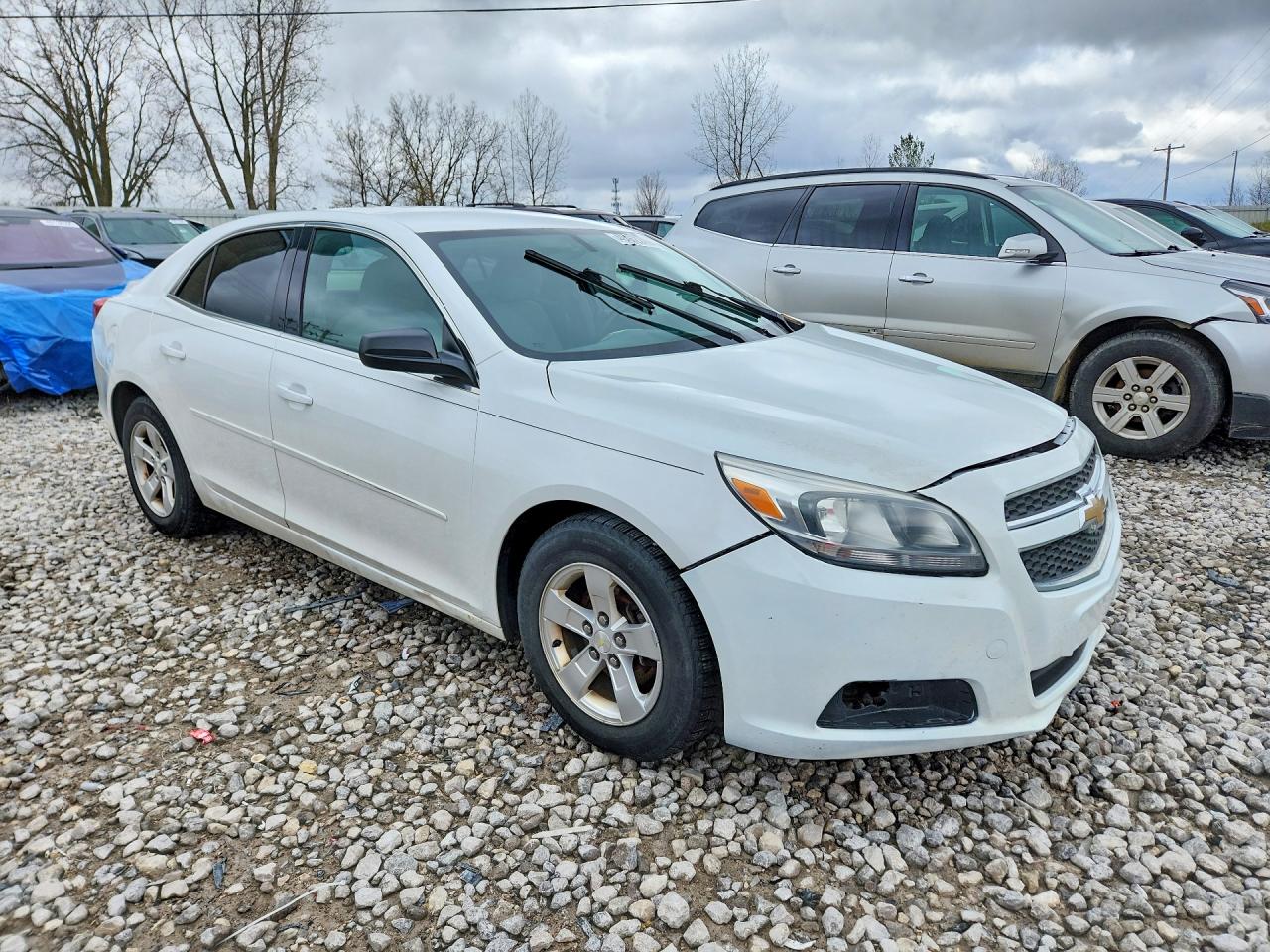 2013 CHEVROLET MALIBU LS photo 7