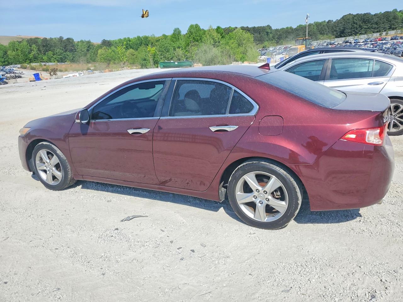 2012 ACURA TSX photo 4