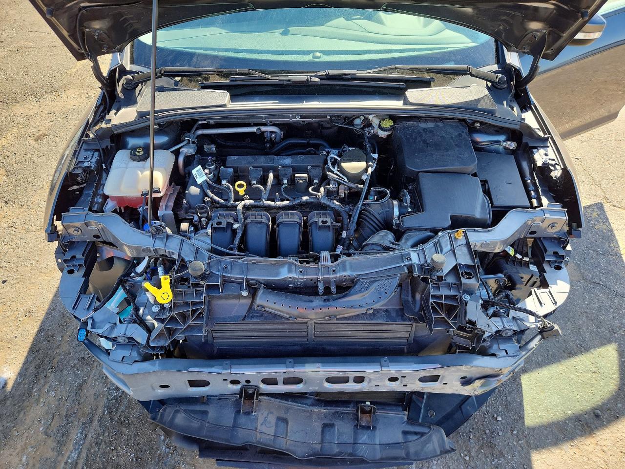 2015 FORD FOCUS SE photo 11