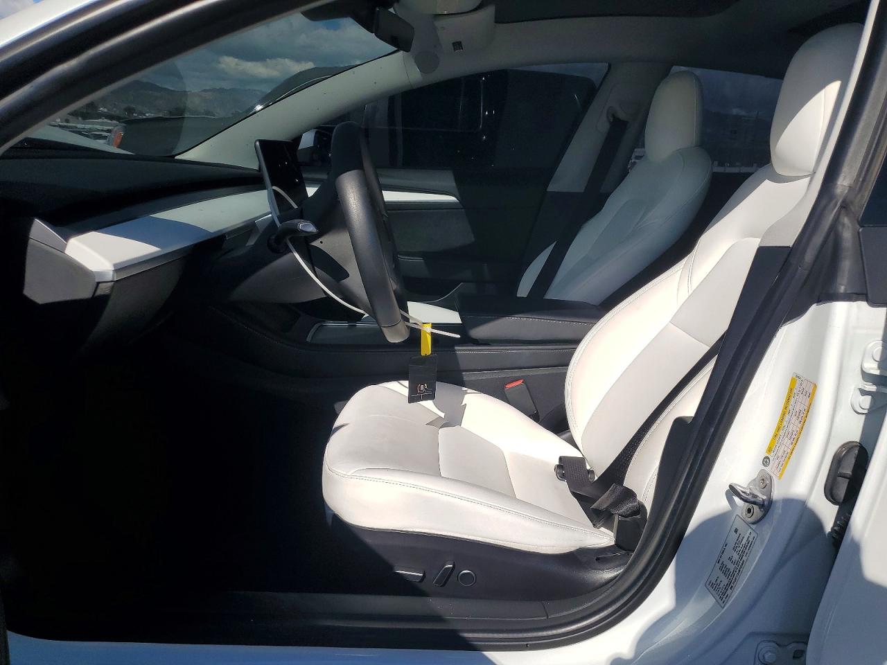2021 TESLA MODEL 3 photo 19