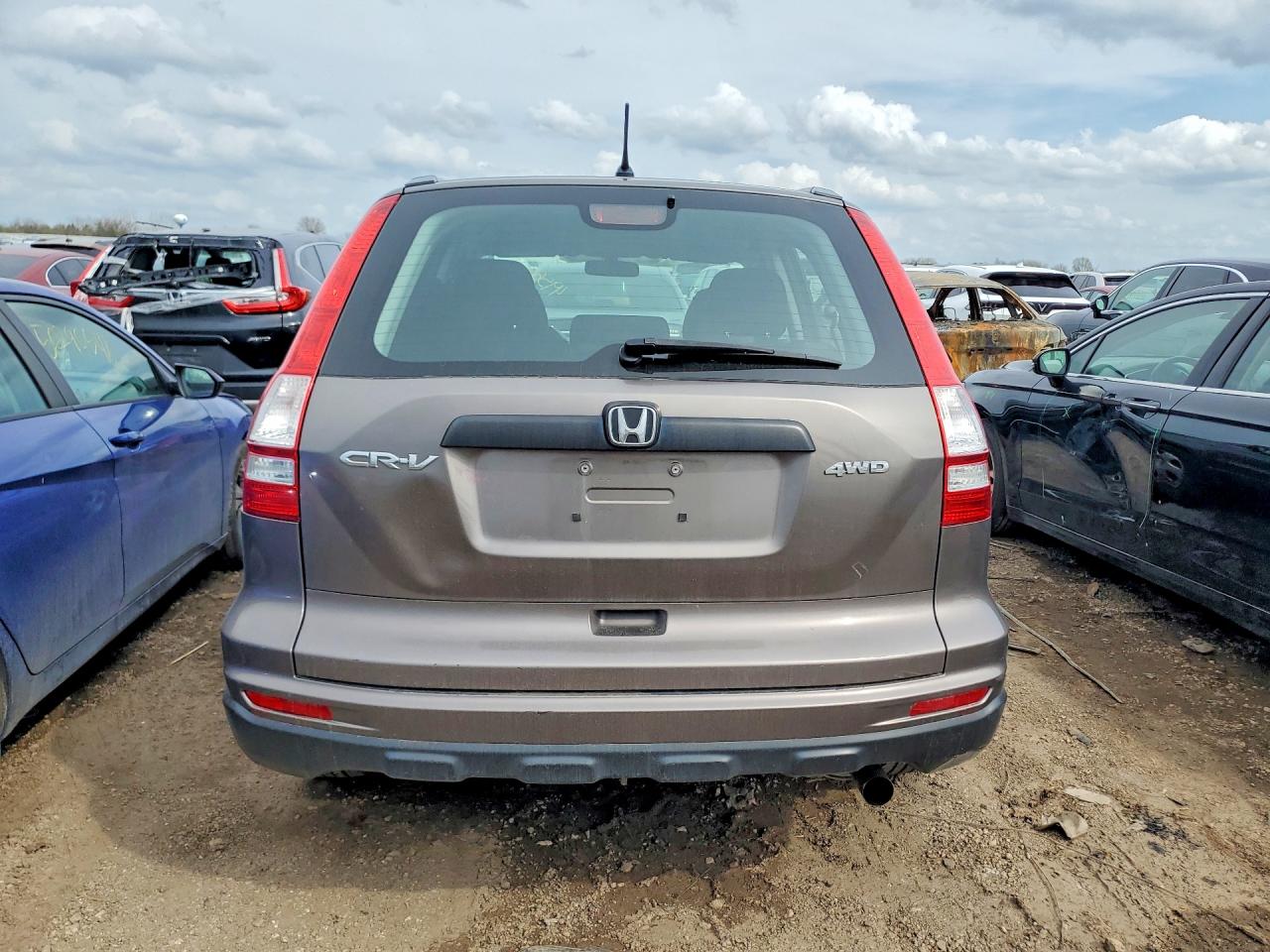 2010 HONDA CR-V LX photo 6
