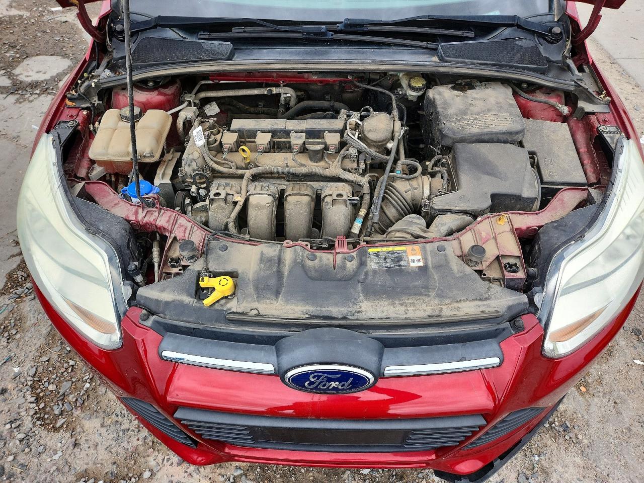 2014 FORD FOCUS photo 11