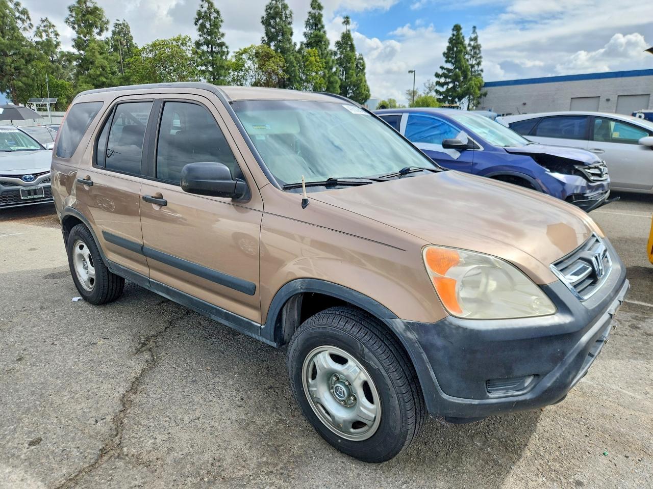 2002 HONDA CR-V LX photo 10