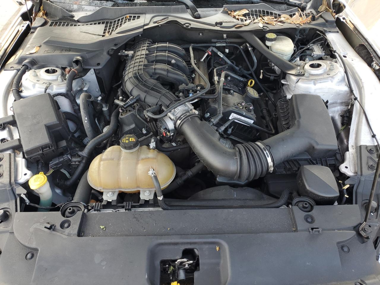 2015 FORD MUSTANG photo 31