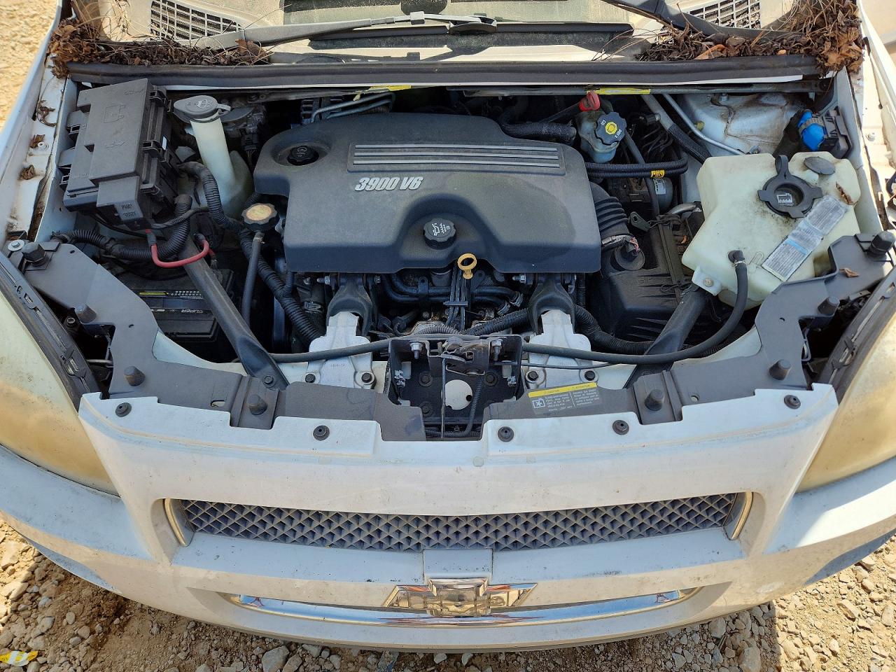 2007 CHEVROLET UPLANDER LS photo 12