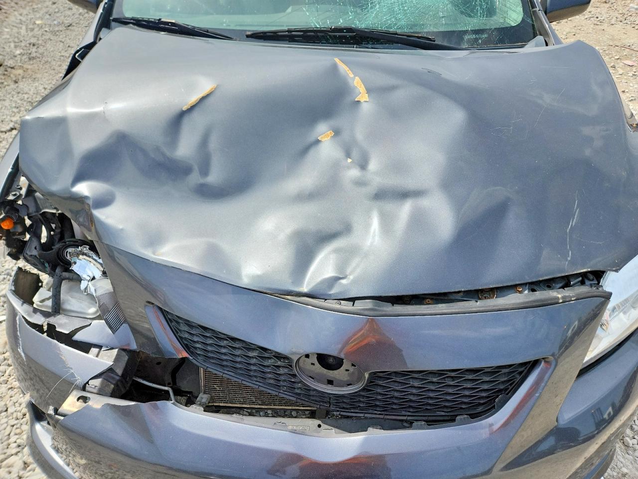 2010 TOYOTA COROLLA LE photo 21