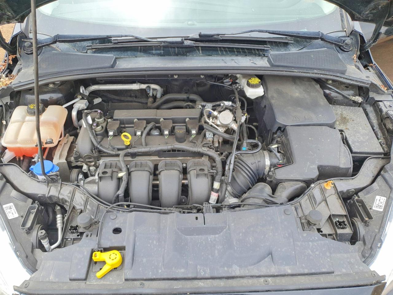 2018 FORD FOCUS SE photo 11