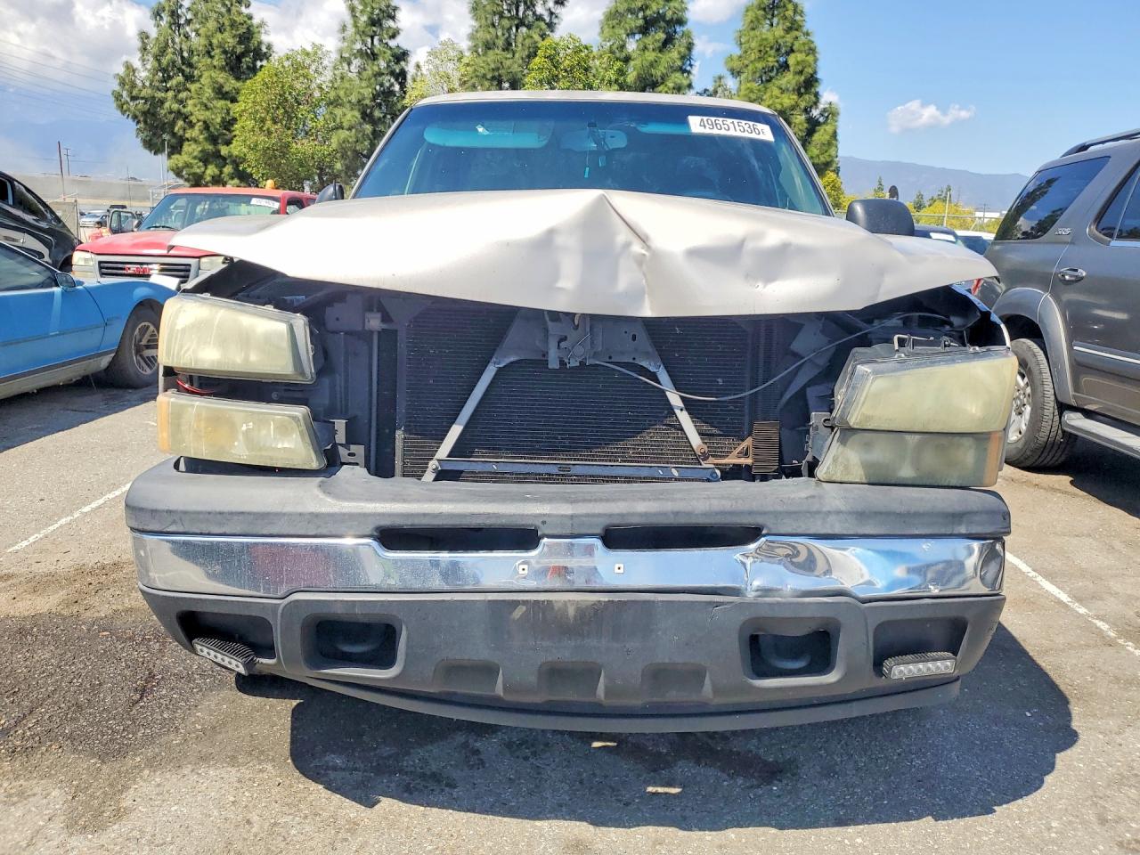 2006 CHEVROLET SILVERADO C1500 photo 9