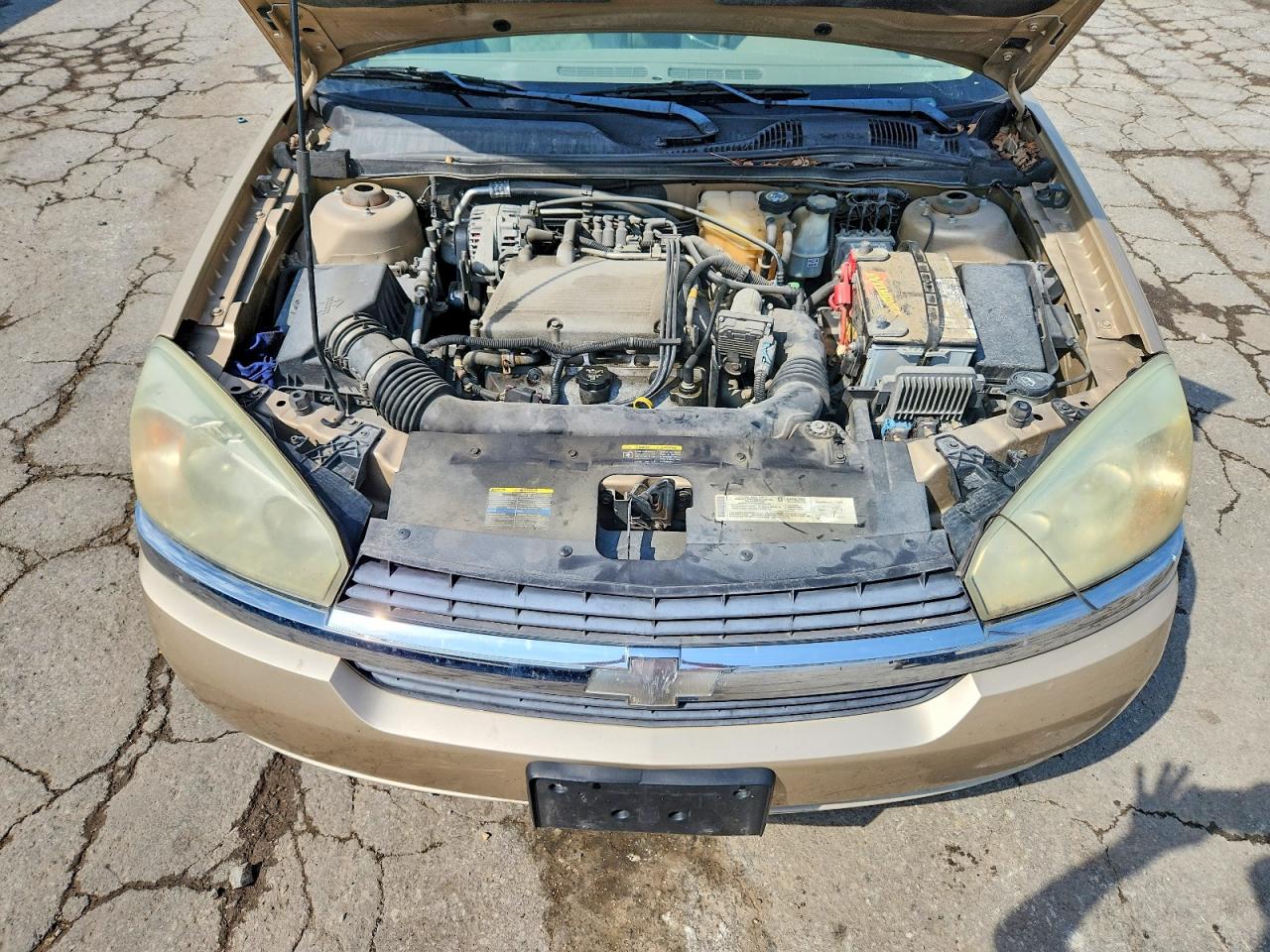 2004 CHEVROLET MALIBU LS photo 31
