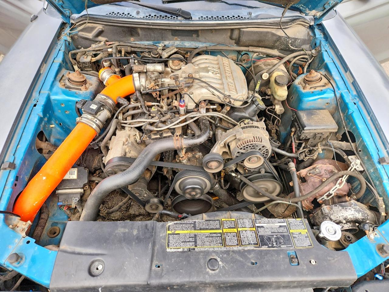 1995 FORD MUSTANG photo 11