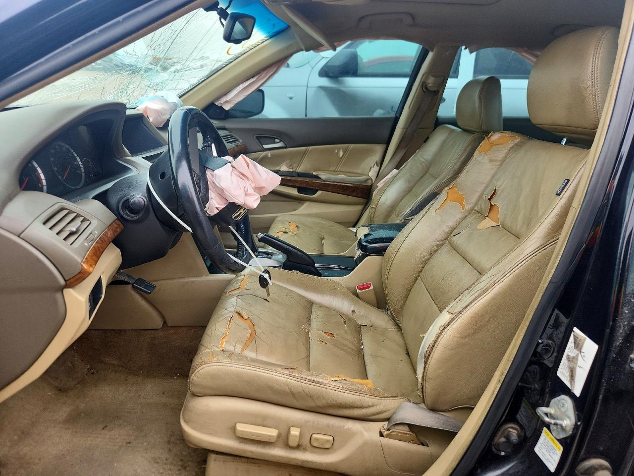 2008 HONDA ACCORD EXL photo 13