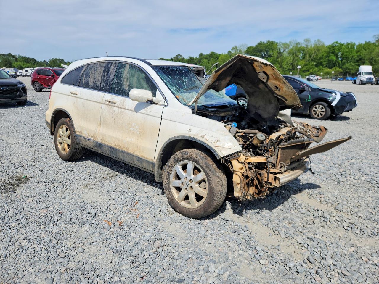 2007 HONDA CR-V EXL photo 7