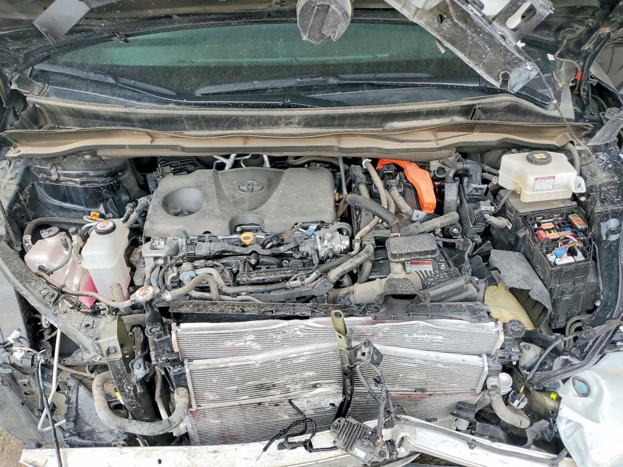 2025 TOYOTA SIENNA WOODLAND EDITION photo 23