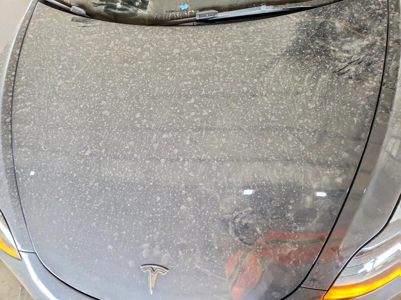 2023 TESLA MODEL 3 photo 21