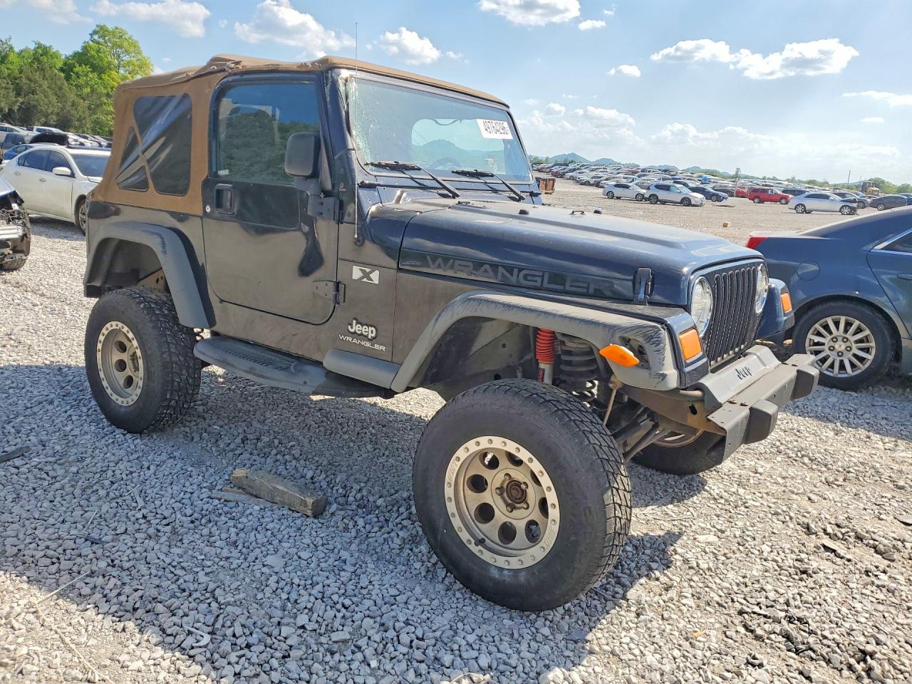 2004 JEEP WRANGLER X photo 10