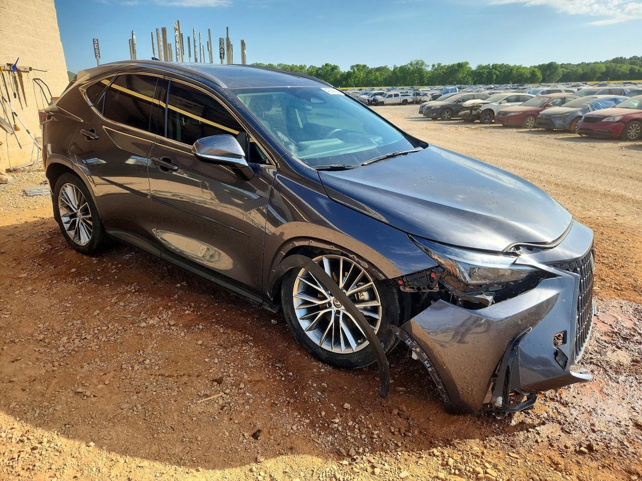 2022 LEXUS NX 350H photo 7