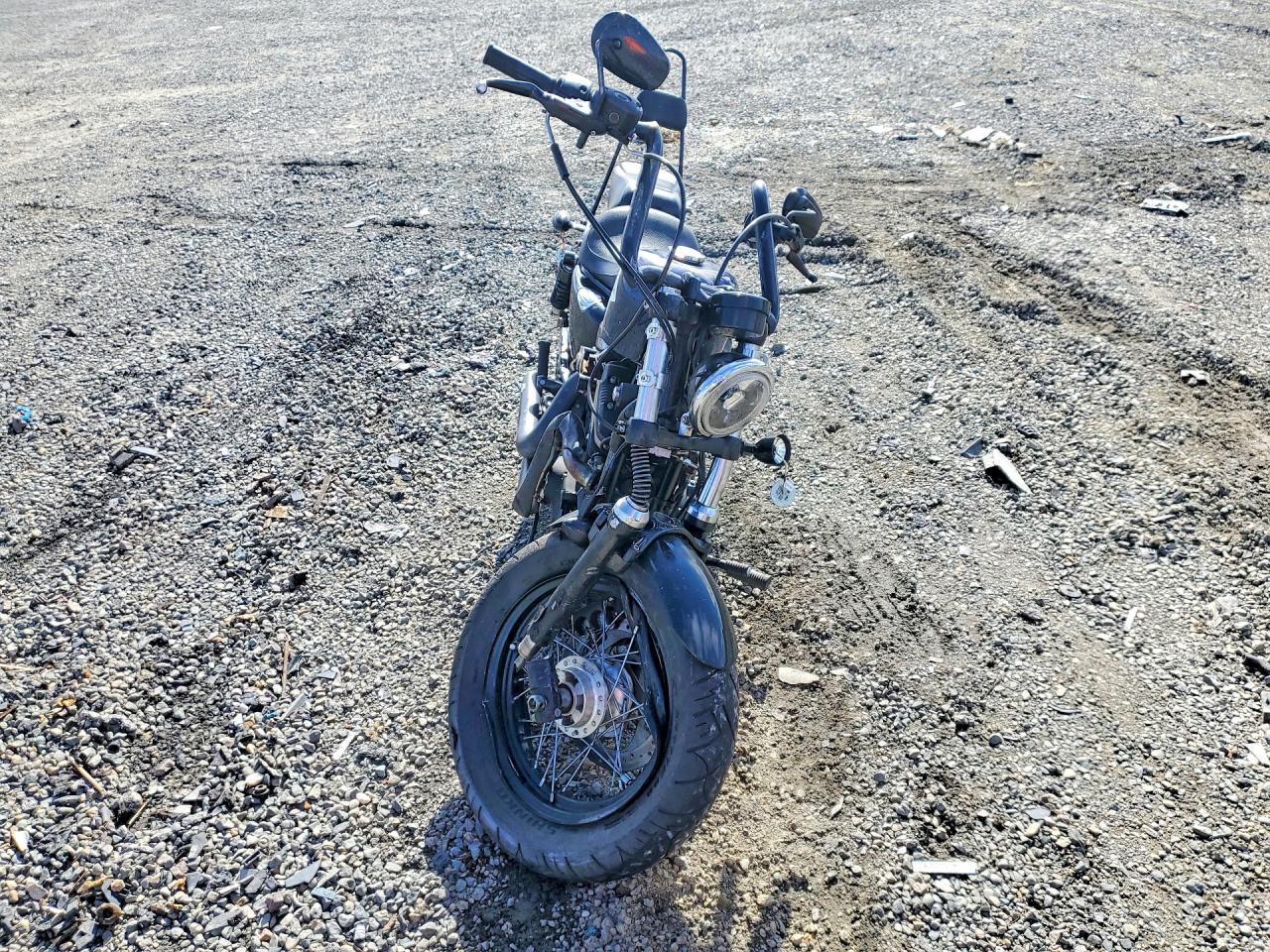 2015 HARLEY-DAVIDSON XL1200 FORTY-EIGHT photo 3