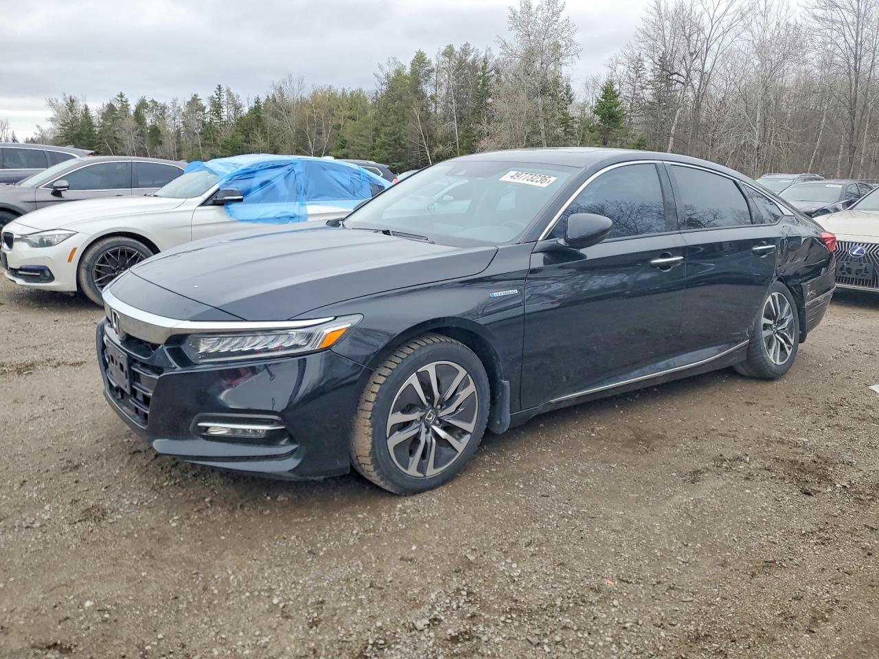 2020 HONDA ACCORD