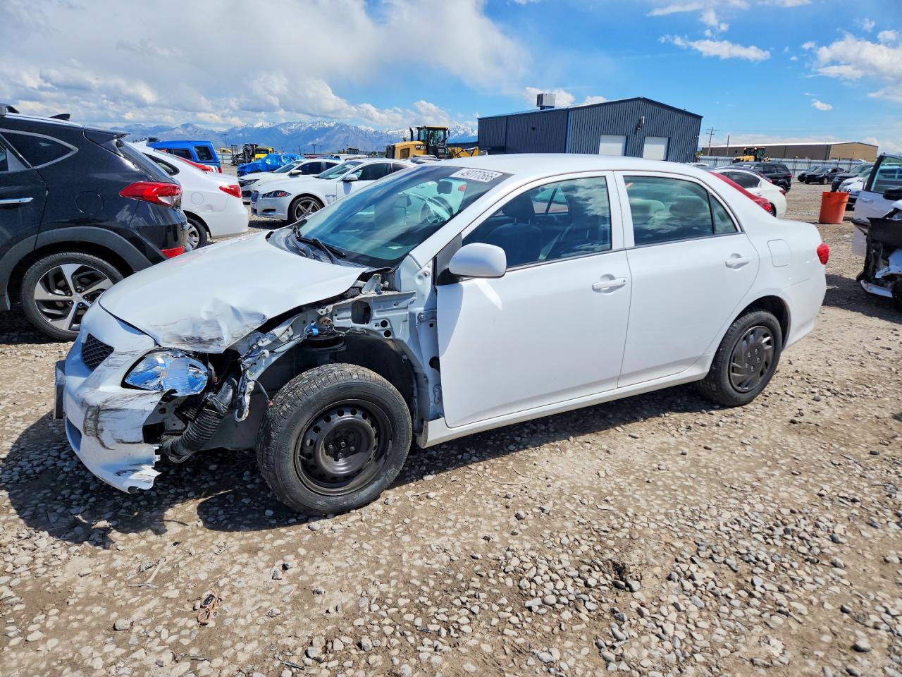 2010 TOYOTA COROLLA