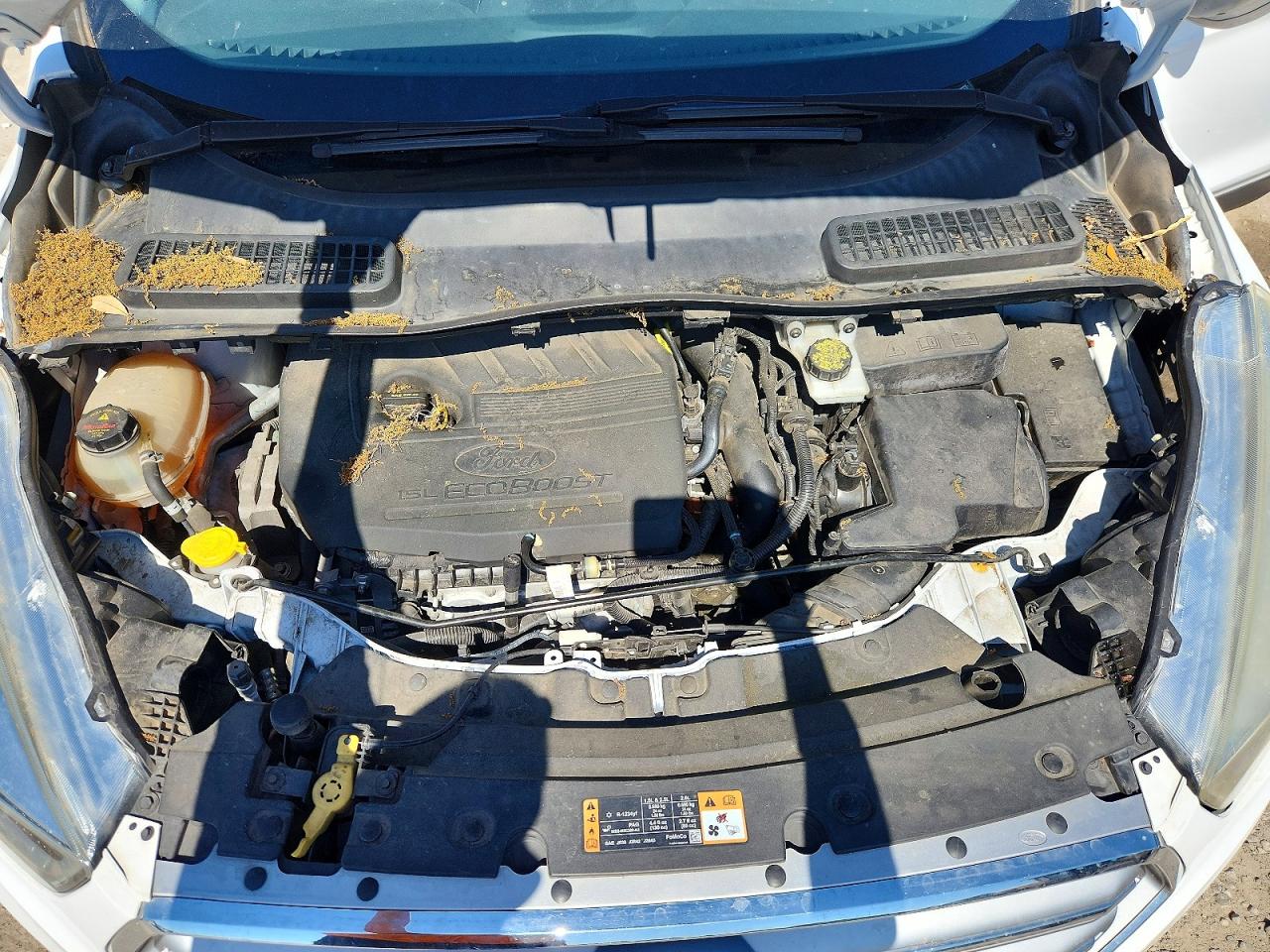 2017 FORD ESCAPE SE photo 31