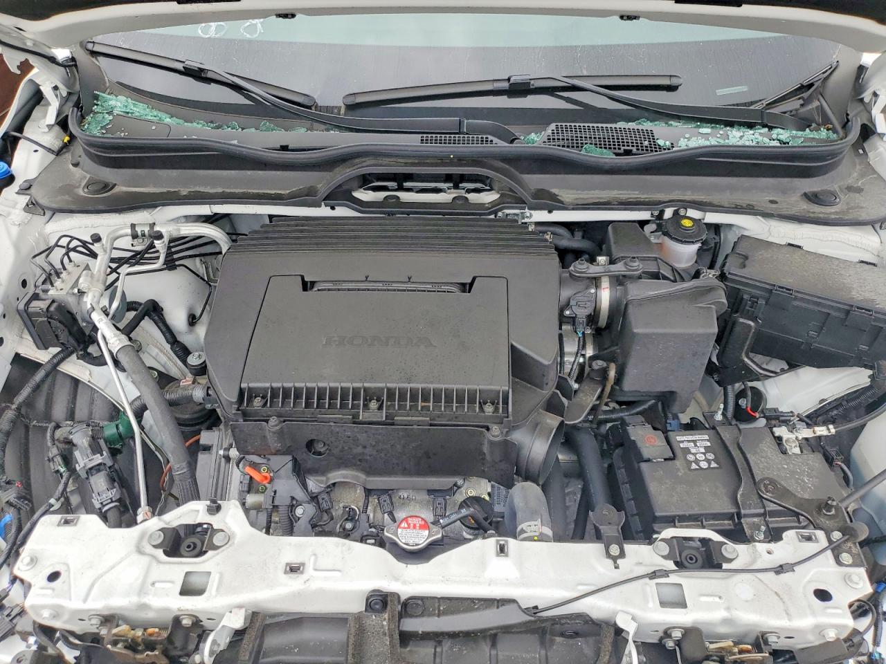 2025 HONDA PILOT EXL photo 21