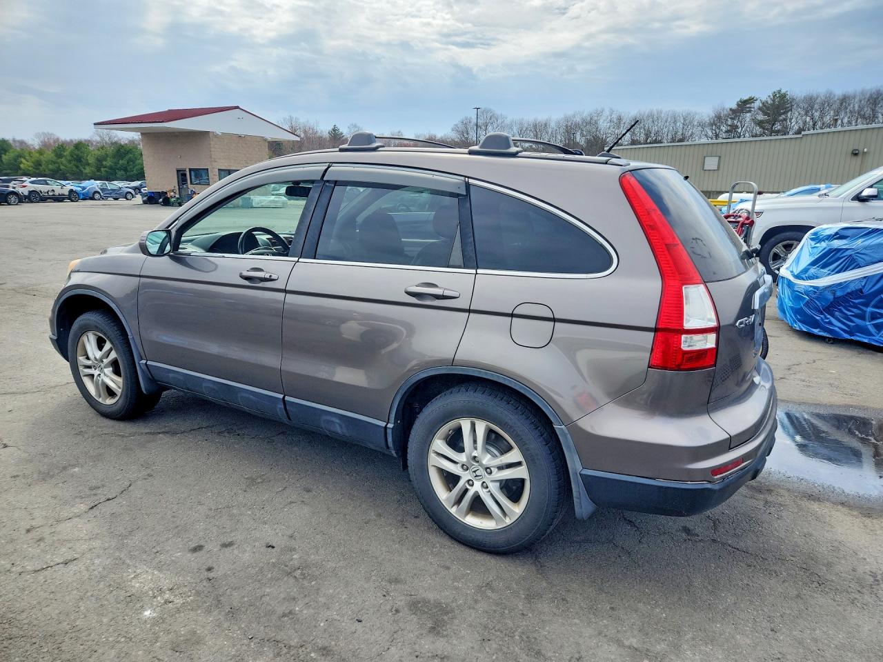 2010 HONDA CR-V EXL photo 3