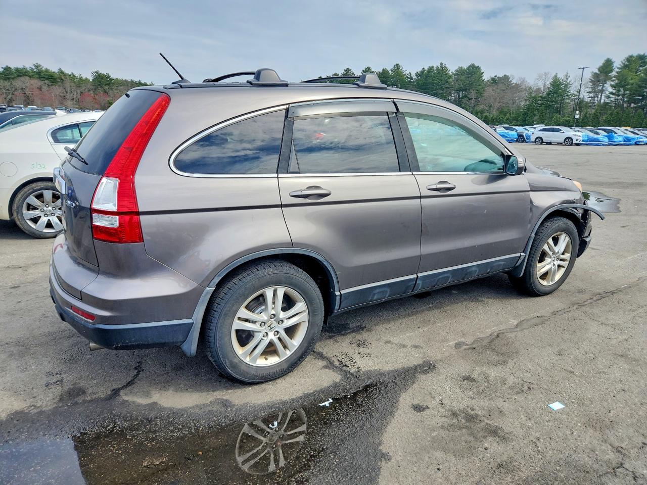 2010 HONDA CR-V EXL photo 5