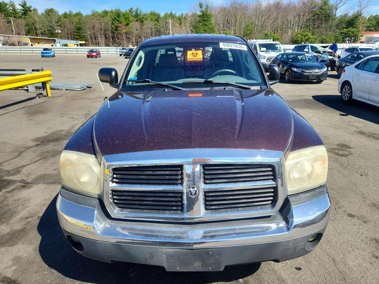 2005 DODGE DAKOTA SLT photo 9