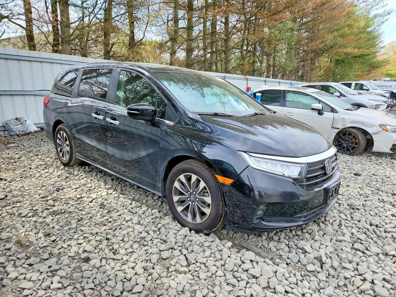 2023 HONDA ODYSSEY EXL photo 10