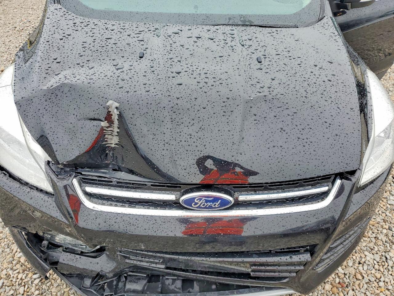 2016 FORD ESCAPE TITANIUM photo 12
