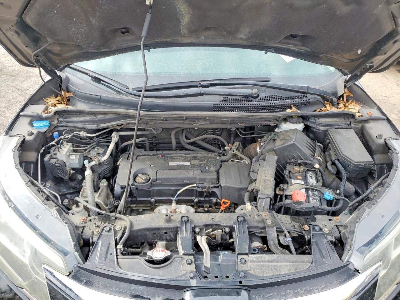 2016 HONDA CR-V EX photo 11