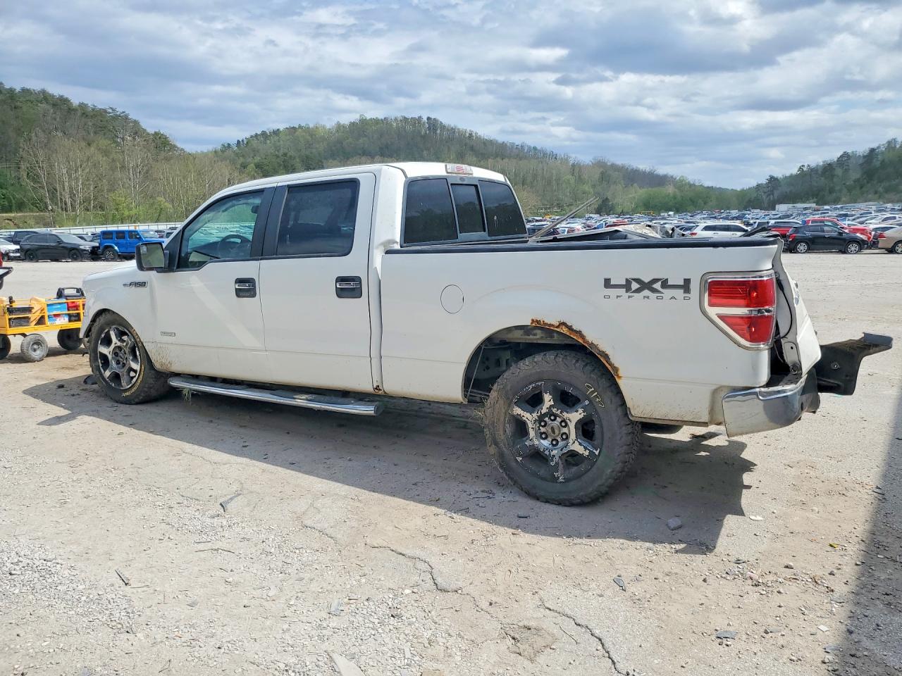 2013 FORD F150 SUPERCREW photo 4